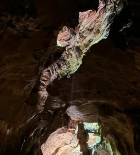 Jungle Edie Guesthouse & Jungle Trekking - 3