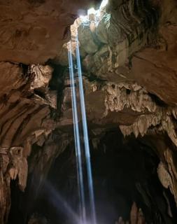 Jungle Edie Guesthouse & Jungle Trekking - 9