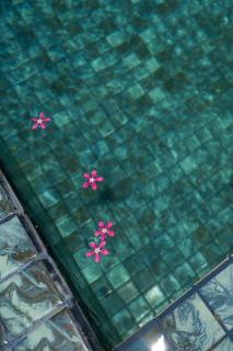 Bliss Blessings Villa & Spa - Hikkaduwa - 1