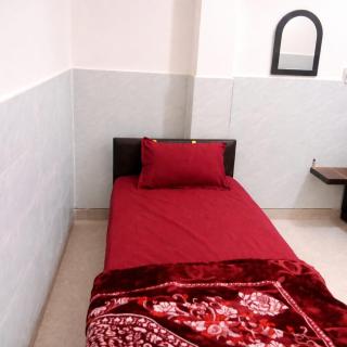 Hotel badri palace - 2