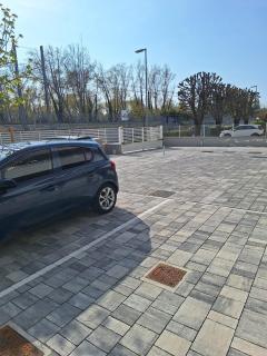 La tartaruga verde fiera e mare - 5