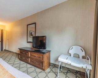 Comfort Inn - 1