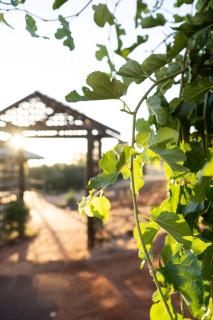 Toy Farmhouse - Bindoon - 1