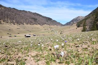 Alpenchalet S´Andalr - 3