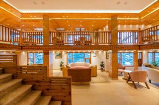 juSTa Darkwood Lodge & Spa 150 meters from Jakhu Temple - 7