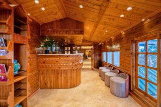 juSTa Darkwood Lodge & Spa 150 meters from Jakhu Temple - 4