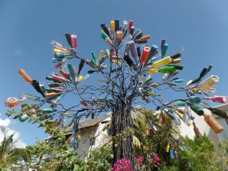 Swiss Nest Travel - 9