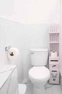 Mini Loft Lince Prime - 2