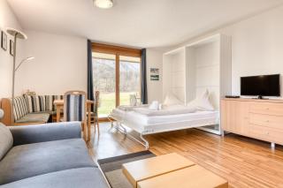 Gartenappartement Kirchdorf by A-Appartments - Brand - 5