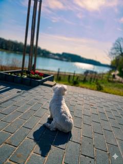 Tu I Teraz - Domek wypoczynkowy w Lubsku - 6