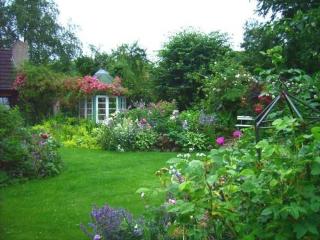 Ferienwohnung Diena - Unterkunft mit toller Ausstattung und zwei Terrassen - 3