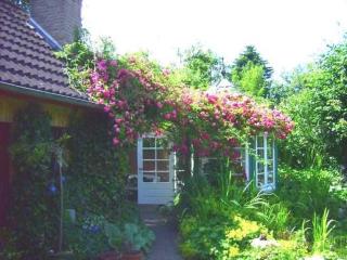 Ferienwohnung Diena - Unterkunft mit toller Ausstattung und zwei Terrassen - 2