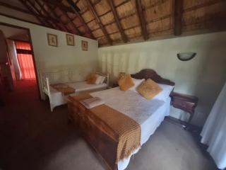 amazonke - 5