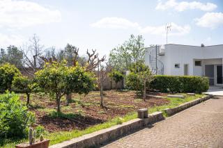 Villetta Don Cirillo - Salento Reservation - 7