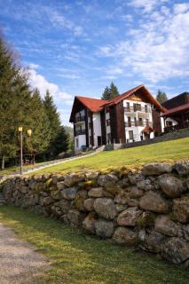 Pensiunea Casa Vanatorului - 0