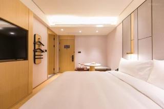 JI Hotel Hangzhou Future Science and Technology City West Railway Station - 5