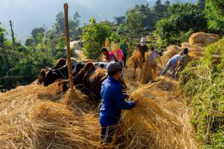 Barang Village Community Homestay - 3
