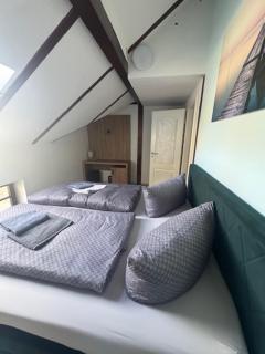 Hinterhaus im Elbhang in Dresden zw, Loschwitz und Pillnitz - Sächsische Schweiz - 3