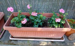 LUNA in Villa Storica, Garden and Parking, Lastrico Solare Esclusivo, Tramvia T1 Centro-Careggi - Florence - 5