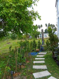 Tiny beach house- Coconut Garden With Free Row Boat - 3