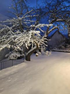 Dreimäderlhof Ferienhaus - 7