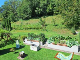 Privatzimmer am Weinbrunnen - 7