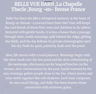 Belle Vue Barn ,Charming spacious rustic home in French Coutryside - 3