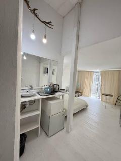 Deribasovskaya Loft - 5