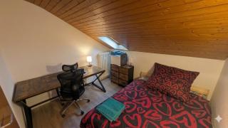 Bodensee-Home Kino, Fitness & King-Size Schlaf - 1