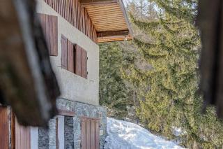 Chalet Vivet-Gros - Plagne 1800 - 6 à 8 personnes - 6