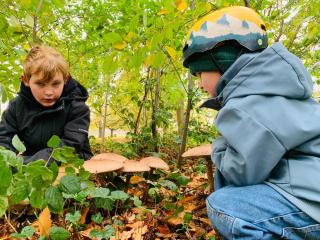 De Lotuspoort met Mihr's B&B in de Abdij van Bornem - 1