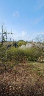 Wielicka Apartment Krakow - Cracovia - 1