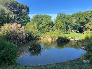 Donkeys and Roses - Il Casale - 5