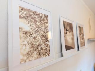 II Bramasole - La Contessa - 2