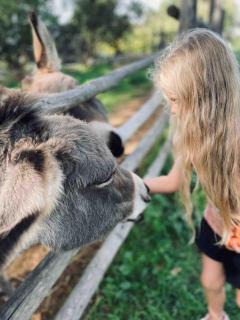 Donkeys and Roses - Casa dei Nidi - 9