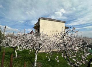 Вилла в Ереване - 6