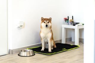 B&B La Villetta sul Mare - 6