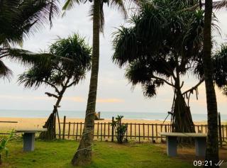 Neptune Blue Ocean Resort - 5