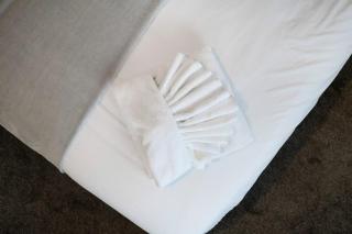 NEW! 3BR in Haughton Road - 4