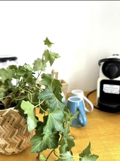 Charmants Appartements au coeur d'Arras - 8