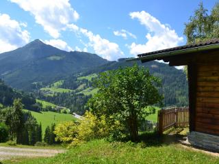 Ferienhof Leitengut - Altenmarkt im Pongau - 6