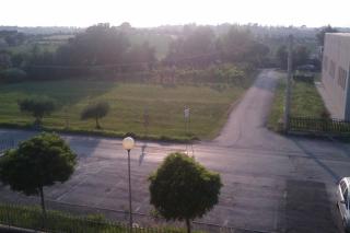 Montecchio di Cortona - Cortona - 4