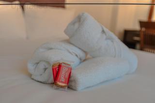 Garden View Apartment by Portland Square - 1