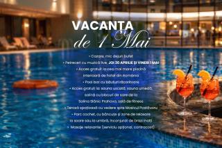 Hotel Piatra Mare - 9