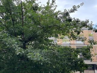 En el corazón de Punta Carretas - Montevideo - 7