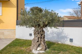 Villa Tramontana in Pula,Istria by Istrabook - 2
