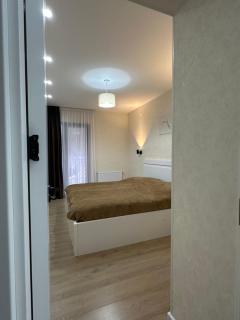 Modern apartment in Borjomi - 1