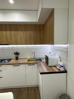 Modern apartment in Borjomi - 3