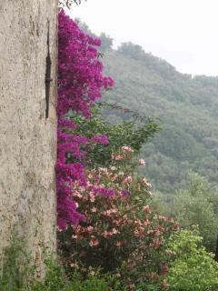 Ferienhaus in Vasia Imperia für bis zu 4 Personen - 4