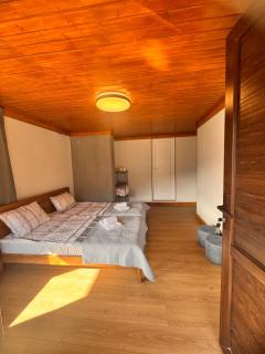 Villa Dabderr Mestia - 3